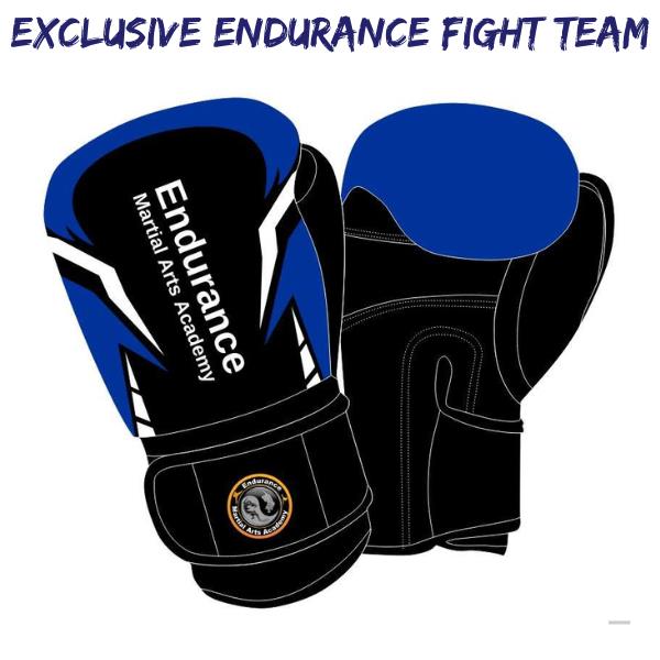Fight Team 10oz Gloves